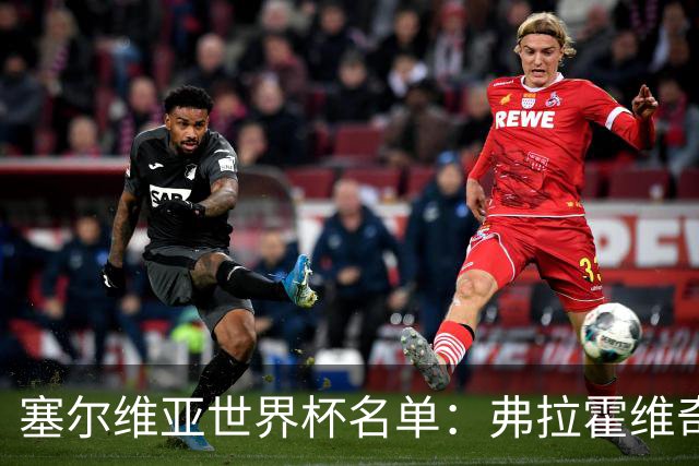 塞尔维亚世界杯名单：弗拉霍维奇领衔 古德利在列